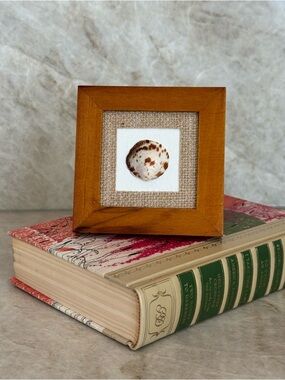 Handcrafted Wooden Frame Shell Art – Brown